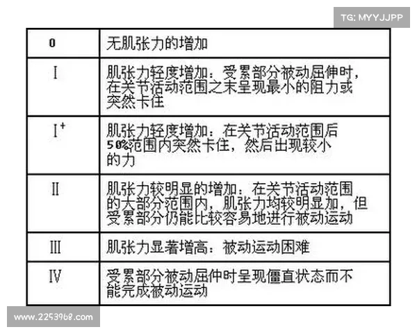 德甲裁判标准解析与实施细则:提升比赛公正性与竞技水平的关键因素